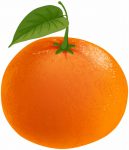 import spain mandarin and keny mandarine from Egypt