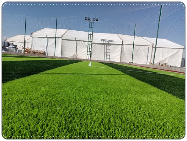 The price of natural grass and artificial grass