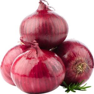 import-red-onion-export-red-onion-egyptian-red-onion-استيراد-البصل-الاحمر-تصدير-البصل-الاحمر