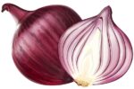 import-red-onion-export-red-onion-egyptian-red-onion-استيراد-البصل-الاحمر-تصدير-البصل-الاحمر