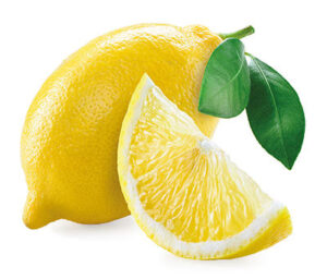شركات-تصدير-الليمون-فى-مصر