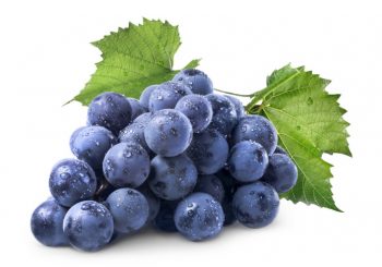 العنب المصرى استيراد و تصدير Grapes