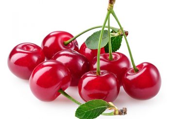 كريز لبناني توريد لتجار الجملة cherries
