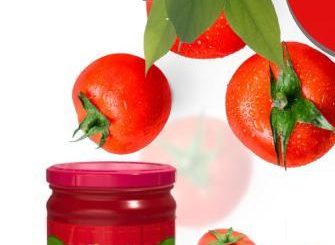 تصدير صلصة معلبة وطماطم مجففة ومكرونة منتجات بجودة عالية